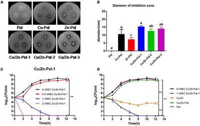 Copper/Zinc-Modified Palygorskite Protects Against Salmonella Typhimurium Infection and Modulates the Intestinal Microbiota in Chickens